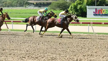 Jinete que había sido suspendido tres meses reaparece este domingo en La Rinconada Jinete que había sido suspendido tres meses reaparece este domingo en La Rinconada
