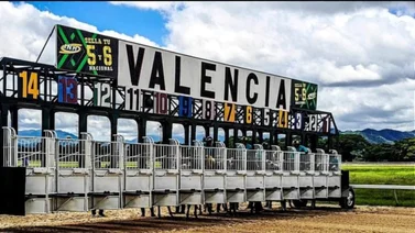 Reunión 16 en el Hipódromo Nacional de Valencia cuenta con una selectiva