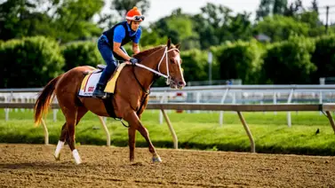 Estas son las montas de Javier Castellano luego de suspensión en Estados Unidos Estas son las montas de Javier Castellano luego de suspensión en Estados Unidos