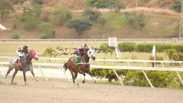Ejemplar que siempre han tenido por bueno reaparece en la Rinconada luego de 161 días sin correr Ejemplar que siempre han tenido por bueno reaparece en la Rinconada luego de 161 días sin correr