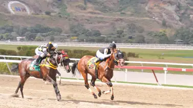 Hija de Jupiter Pluvius reaparece en La Rinconada luego de 133 días sin correr Hija de Jupiter Pluvius reaparece en La Rinconada luego de 133 días sin correr