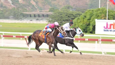 Caballo que puede sorprender reaparece el domingo en la reunión 31