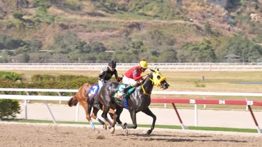 Yegua que tiene mucho chance de ganar reaparece después de 133 días sin correr