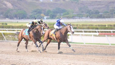 Caballo que tiene más de 91 días sin correr en La Rinconada reaparece y de ganar paga un buen dividendo