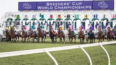 Caballo que ganó en Dubái aspira a correr la Breeders' Cup Classic en noviembre Caballo que ganó en Dubái aspira a correr la Breeders' Cup Classic en noviembre