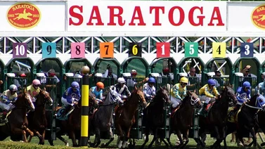 Potro de $1.350.000 debuta con jockey boricua y bien trabajado esta semana