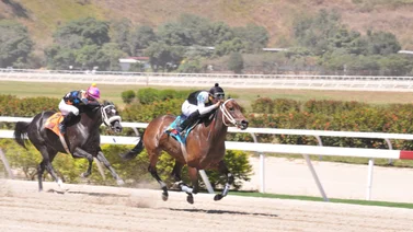 Hija de Vacation reaparece este domingo en La Rinconada