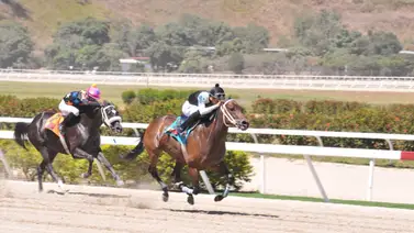 Hija de Vacation reaparece este domingo en La Rinconada Hija de Vacation reaparece este domingo en La Rinconada