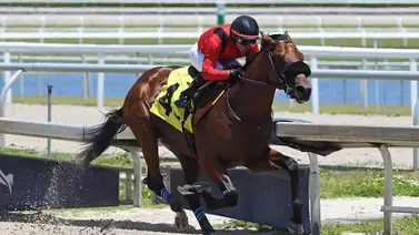 Emisael Jaramillo con full montas esta semana en Estados Unidos Emisael Jaramillo con full montas esta semana en Estados Unidos