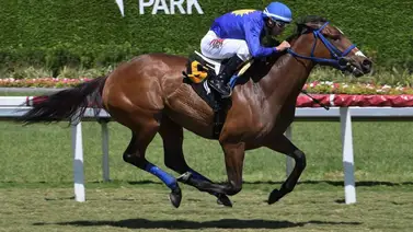 Entrenador venezolano va por stakes de Grado en Saratoga Entrenador venezolano va por stakes de Grado en Saratoga