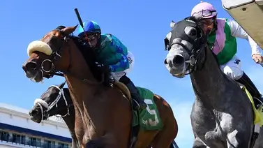 Javier Castellano ya tiene monta para el Travers Stakes de $1.250.000 en Saratoga Javier Castellano ya tiene monta para el Travers Stakes de $1.250.000 en Saratoga