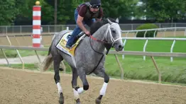 Esta será la próxima carrera del ganador del Preakness Stakes Seize The Grey