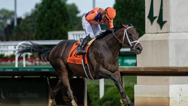 Retirado nieto de Tapit que ganó Stakes de $1.000.000 y cupo a la Breeders' Cup