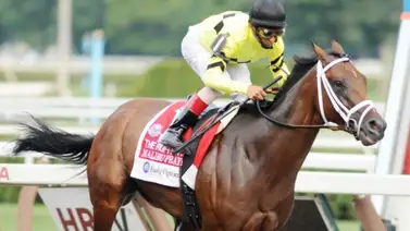 Potro de $1.200.000 busca esta semana con Javier Castellano su segundo triunfo Potro de $1.200.000 busca esta semana con Javier Castellano su segundo triunfo