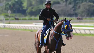Maykor Ibarra da el toquecito que puede poner a pagar el cuadro del 5y6 en La Rinconada (+Video) Maykor Ibarra da el toquecito que puede poner a pagar el cuadro del 5y6 en La Rinconada (+Video)