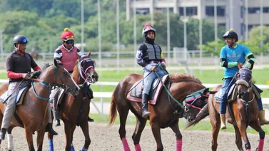  Datos de última hora para el Hipódromo Internacional La Rinconada 18-8-2024