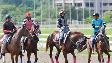 Datos de última hora para el Hipódromo Internacional La Rinconada 18-8-2024 Datos de última hora para el Hipódromo Internacional La Rinconada 18-8-2024