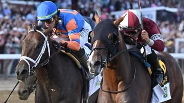 Estos son los 10 mejores caballos según el ranking de la Breeders´Cup Classic 2024