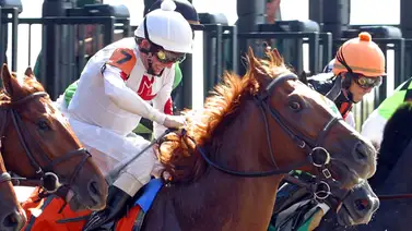 El jockey más viejo de la historia se va de 1.000 puntos y explota la taquilla El jockey más viejo de la historia se va de 1.000 puntos y explota la taquilla