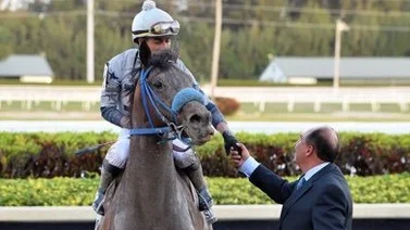 Entrenador venezolano presenta a uno de los favoritos en stakes de Grado en Estados Unidos