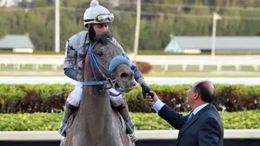 Entrenador venezolano presenta a uno de los favoritos en stakes de Grado en Estados Unidos Entrenador venezolano presenta a uno de los favoritos en stakes de Grado en Estados Unidos