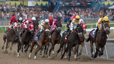 Los ejemplares que más suenan en los 5 Stakes del viernes en este hipódromo del norte