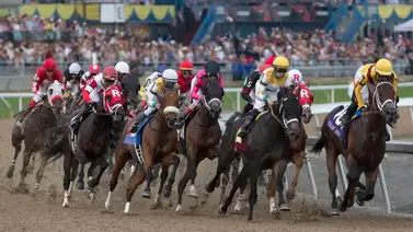 Los ejemplares que más suenan en los 5 Stakes del viernes en este hipódromo del norte Los ejemplares que más suenan en los 5 Stakes del viernes en este hipódromo del norte