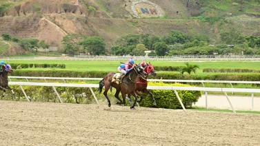 Caballo que no es favorito ajusta bien y pudiera ser la sorpresa de la tarde en La Rinconada