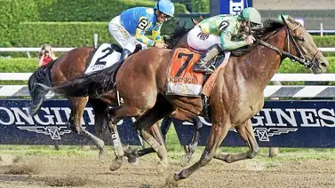 Conoce cuando se sortearán los puestos de partida para la carrera del año Conoce cuando se sortearán los puestos de partida para la carrera del año