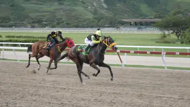 Así ajusta este ejemplar que de ganar sería el batacazo de las carreras no válidas de la R31 Así ajusta este ejemplar que de ganar sería el batacazo de las carreras no válidas de la R31