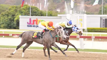 Con este ajuste está yegua puede sorprender a una de las líneas del ciclo de las no válidas Con este ajuste está yegua puede sorprender a una de las líneas del ciclo de las no válidas