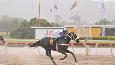 Así ajustó este caballo que puede ser el “gallo tapao” del 5y6 nacional en La Rinconada Así ajustó este caballo que puede ser el “gallo tapao” del 5y6 nacional en La Rinconada