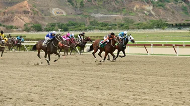 Mira el ajuste de esta yegua que de ganar puede tumbar los cuadros del 5y6