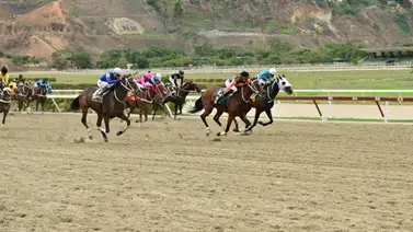 Mira el ajuste de esta yegua que de ganar puede tumbar los cuadros del 5y6 Mira el ajuste de esta yegua que de ganar puede tumbar los cuadros del 5y6