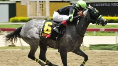 Jockey venezolano sorprende y obtiene su segundo triunfo del año en Estados Unidos