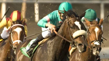 Las 7 campeonas a las que se unirá Thorpedo Anna si gana el Travers Stakes