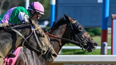 Descalificado y será suspendido jockey campeón boricua en Saratoga Descalificado y será suspendido jockey campeón boricua en Saratoga