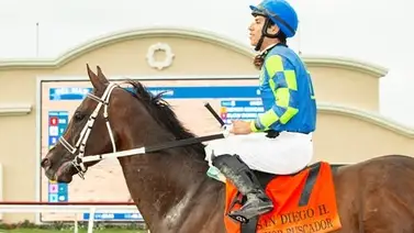 Mira quien será el jockey de Señor Buscador para su próximo compromiso Mira quien será el jockey de Señor Buscador para su próximo compromiso