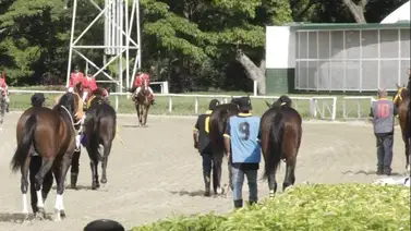 Retirada la línea nacional de la reunión N°31 en La Rinconada Retirada la línea nacional de la reunión N°31 en La Rinconada