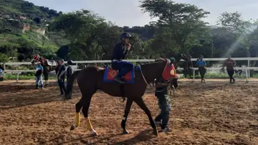 Retirada una de las líneas más claras del 5 y 6 Nacional Retirada una de las líneas más claras del 5 y 6 Nacional