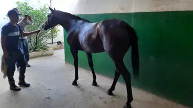 Estos son los retirados la Reunión N°31 en La Rinconada 18-08-2024 Estos son los retirados la Reunión N°31 en La Rinconada 18-08-2024