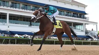 Emisael Jaramillo duplica gana un stakes y rompe la taquilla con batacazo Emisael Jaramillo duplica gana un stakes y rompe la taquilla con batacazo