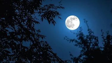 ¿Cómo, cuándo y dónde ver la Súper Luna de Esturión de agosto? 