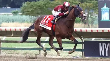 Mira la increíble racha que intentará acabar Dornoch en el Travers Stakes Mira la increíble racha que intentará acabar Dornoch en el Travers Stakes