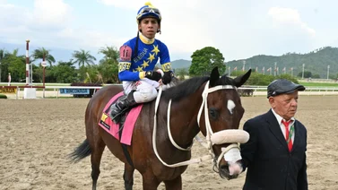 Mira lo que informó a los comisarios Franklin Puello Jr. sobre la yegua Gran Dynabid