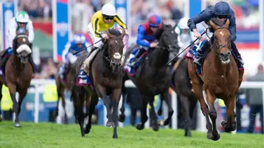 City of Troy enfrentará 12 rivales en stakes de Grado 1 City of Troy enfrentará 12 rivales en stakes de Grado 1