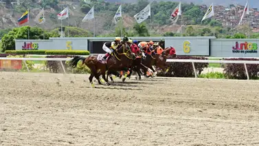 Siete selectivas forman parte de la Gala Hípica de Caracas en La Rinconada Siete selectivas forman parte de la Gala Hípica de Caracas en La Rinconada