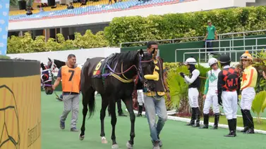 7 potros hacen su estreno en una nueva edición del Clásico Gradisco (Grado II) 7 potros hacen su estreno en una nueva edición del Clásico Gradisco (Grado II)