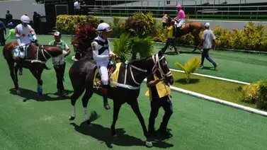 5 dosañeras hacen su estreno en el Clásico Julián Abdala este domingo en La Rinconada 5 dosañeras hacen su estreno en el Clásico Julián Abdala este domingo en La Rinconada