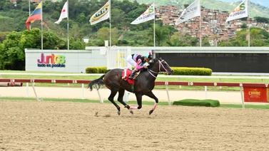 Benedetta a derrochar su clase en el Clásico Internacional Sprinters (GII) para yeguas en La Rinconada